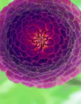F 021C